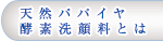 天然パパイヤ酵素洗顔料とは