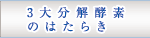 ３大分解酵素の働き